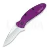 Kershaw Scallion Folding Knife, Purple 1620PUR -Deals Folding knives Store 18355 KS1620PUR 01